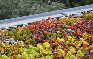 the cost of Merthyr green roof installation