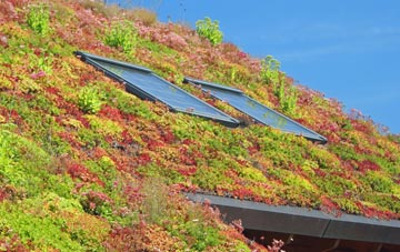 Merthyr living roof systems